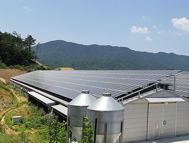 Wooridul Solar Power Plant photo